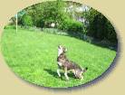 Lukas und der  Ball * 358 x 269 * (22KB)